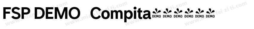 FSP DEMO   Compita字体转换